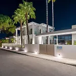 Palm View