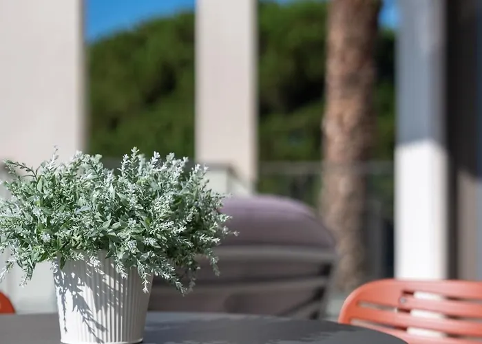 Palm View 4* Kourouta